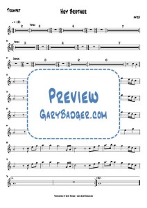 AVICII - Hey Brother - Trumpet