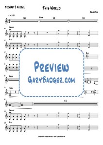 Selah Sue - This World - Trumpet