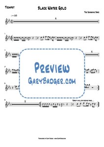 The Sunshine Band - Black Water Gold - Trumpet