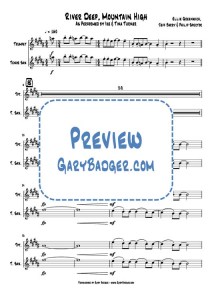 Tina Turner - River Deep, Mountain High -Trumpet & Tenor Sax