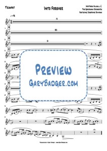 Matthew Halsall & The Gondwana Orchestra - Into Forever - Trumpet